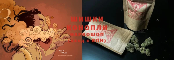 бошки Алексин