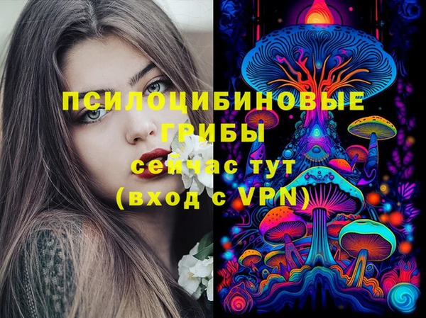 бошки Алексин