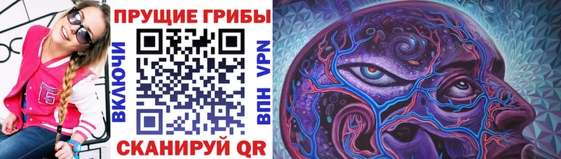 Псилоцибиновые грибы Psilocybe blacksprut ССЫЛКА Богданович