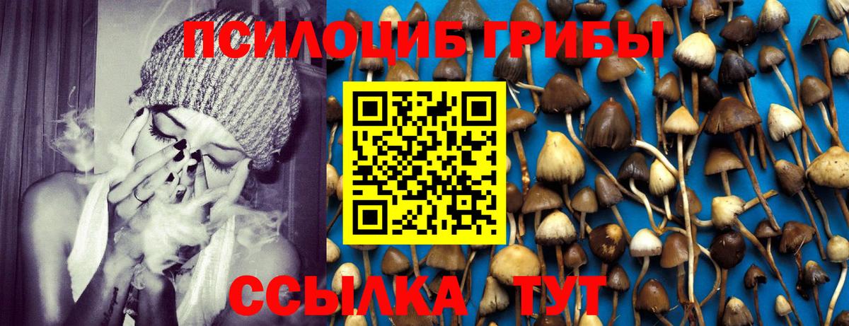Галлюциногенные грибы Magic Shrooms  Вход с VPN  Псилоцибиновые грибы MAGIC MUSHROOMS  Богданович 